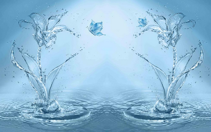 _ܿՉC
